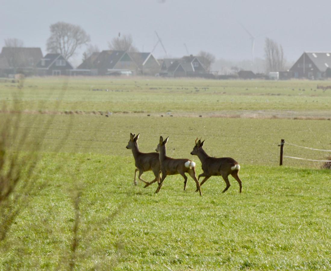 Het Melkhuis Op Prachtig Landgoed Koepeltjesplaats Gaast 外观 照片