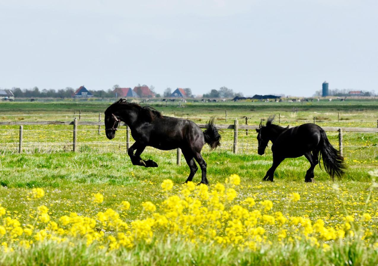Het Melkhuis Op Prachtig Landgoed Koepeltjesplaats Gaast 外观 照片