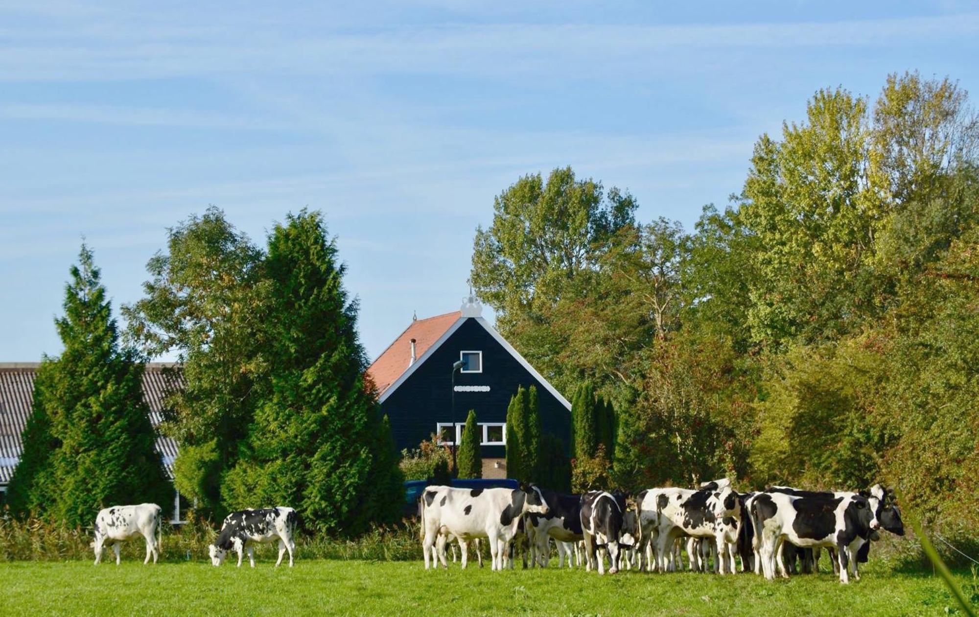 Het Melkhuis Op Prachtig Landgoed Koepeltjesplaats Gaast 外观 照片